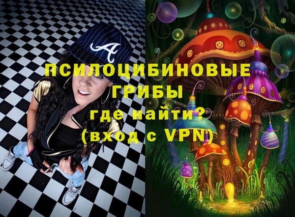 ECSTASY Саяногорск