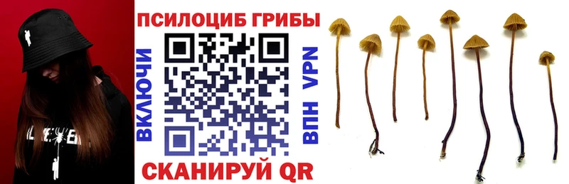 Псилоцибиновые грибы MAGIC MUSHROOMS  Заринск 