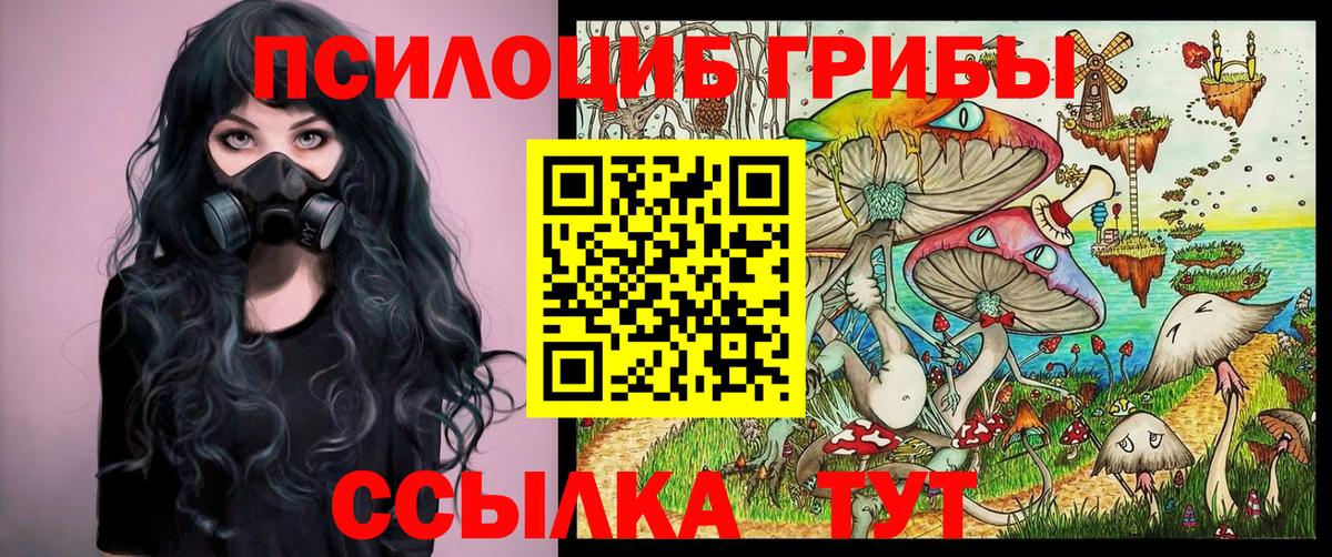 Галлюциногенные грибы мицелий Заринск